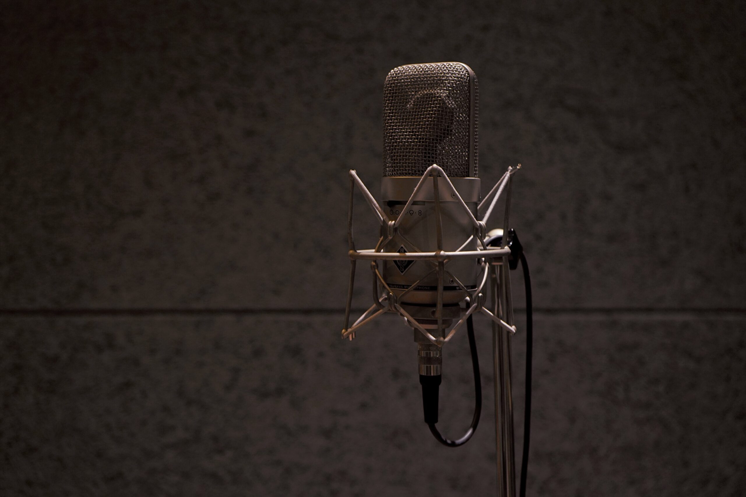 wood-studio-micro-zoom-2